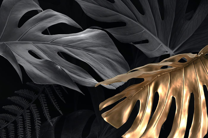 Καμβάς Leaves - Image 2